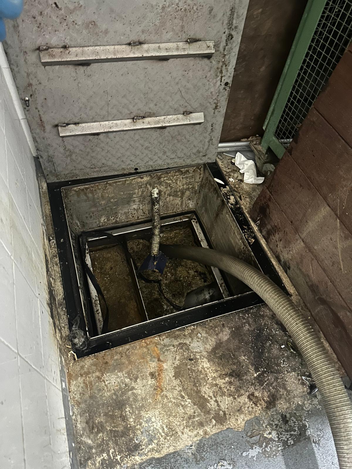 Pompage bac à graisse - Image 3